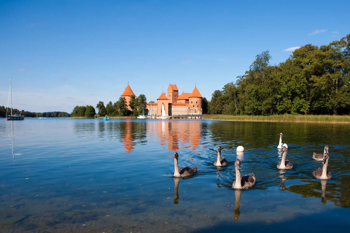 Wasserburg Trakai mit roten Dächer, umgeben von einem See, Bäumen und Schwänen im Vordergrund