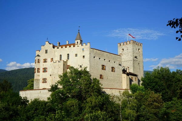 Mittelalterliches Schloss Bruneck auf bewaldetem Hügel mit massiven Mauern und blauem Himmel