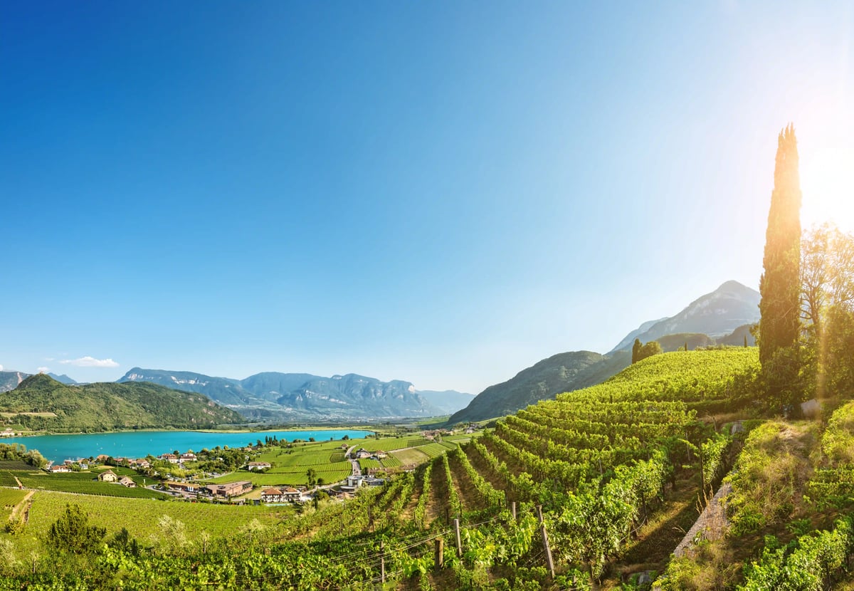 Panoramablick auf den Kalterer See mit Weinbergen, Ortschaften und Bergen im Hintergrund