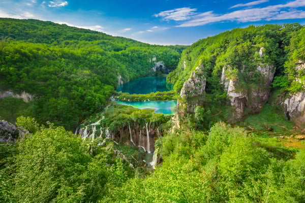 Blick auf die Plitvicer Seen mit türkisfarbenem Wasser, Wasserfällen und dicht bewaldeten Felsen in grüner Landschaft