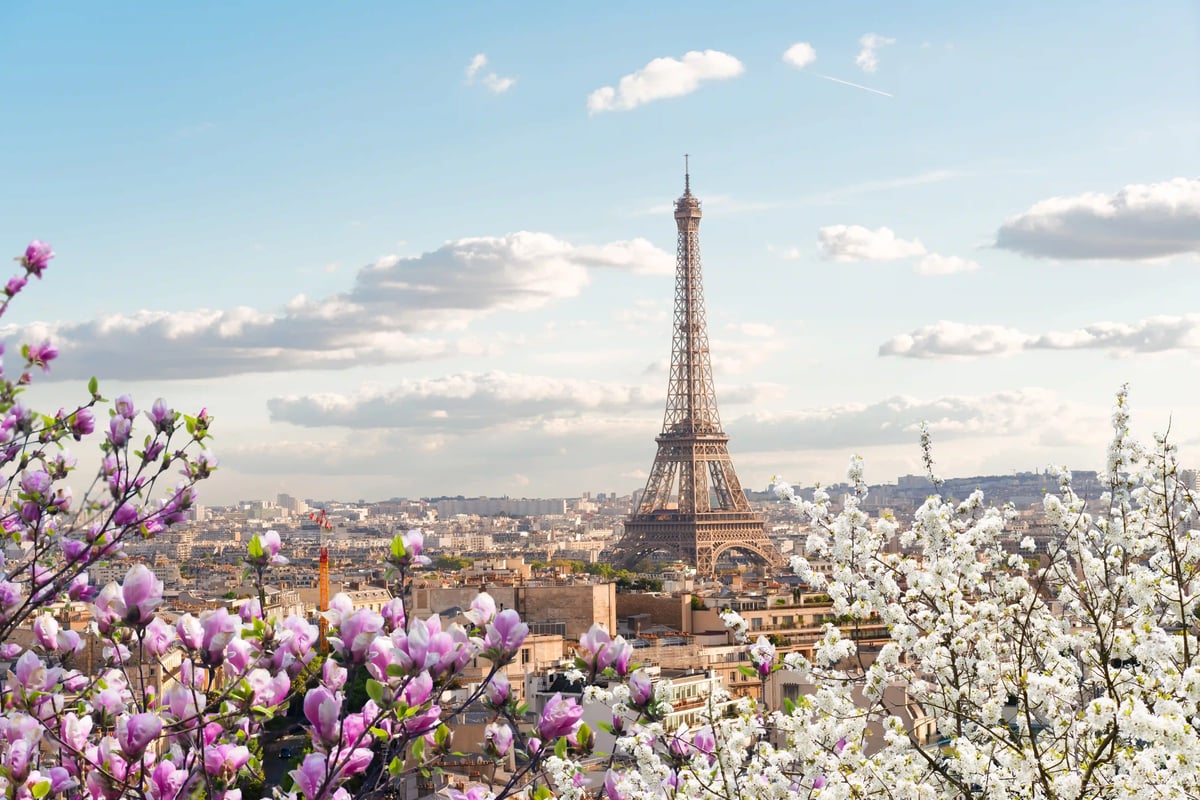 Blick auf den Eiffelturm über den Dächern von Paris, eingerahmt von blühenden Bäumen.