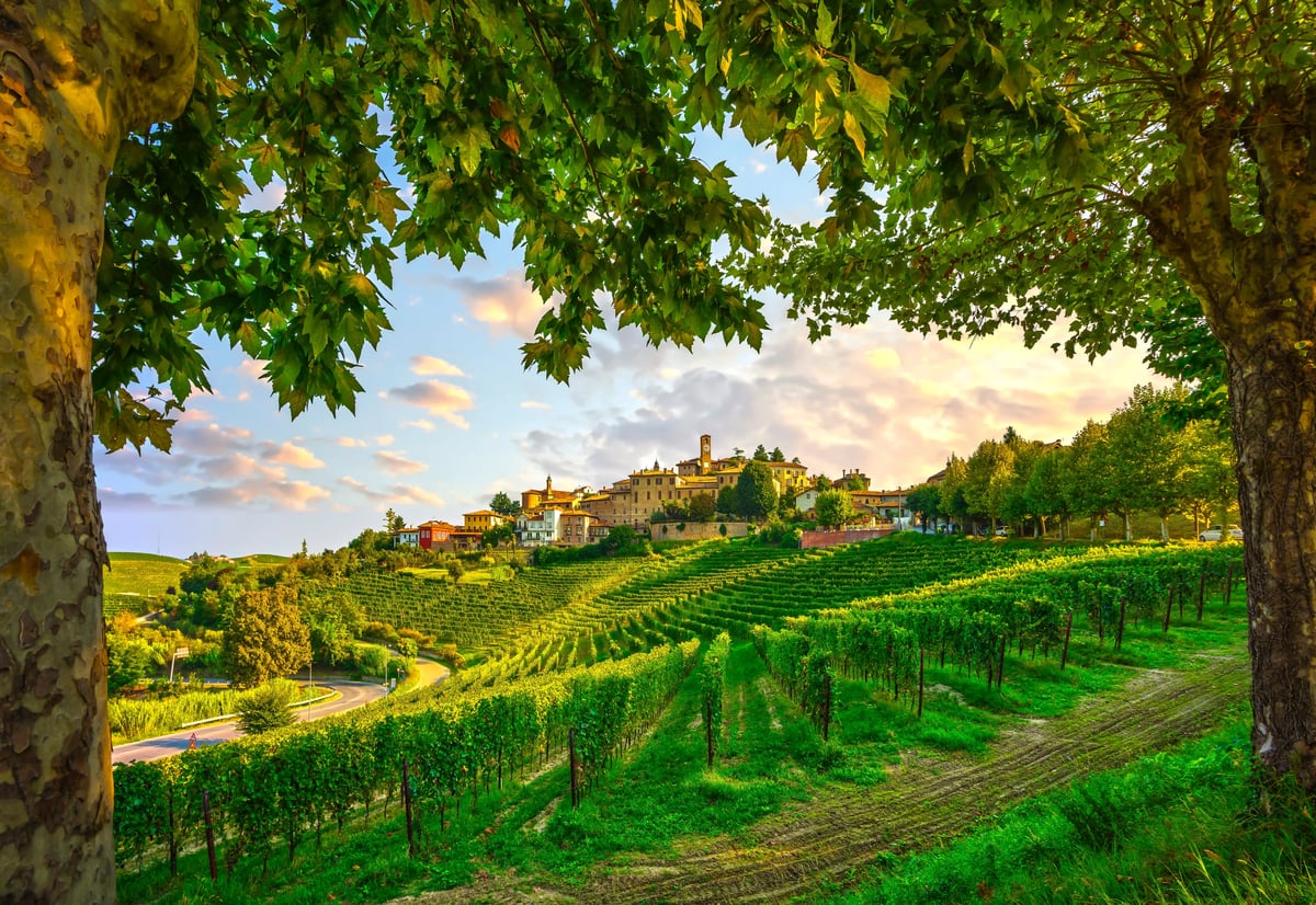 Hügelige Weinlandschaft im Piemont mit Reben, kleinem Dorf auf dem Hügel und Bäumen im Vordergrund