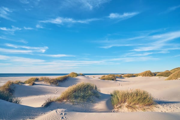 Weite Sanddünen mit Strandgras und Blick auf das Meer unter leicht bewölktem Himmel