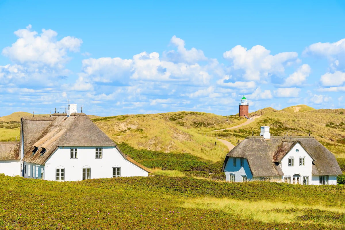 Typische Reetdachhäuser liegen eingebettet in grünen Dünen auf Sylt