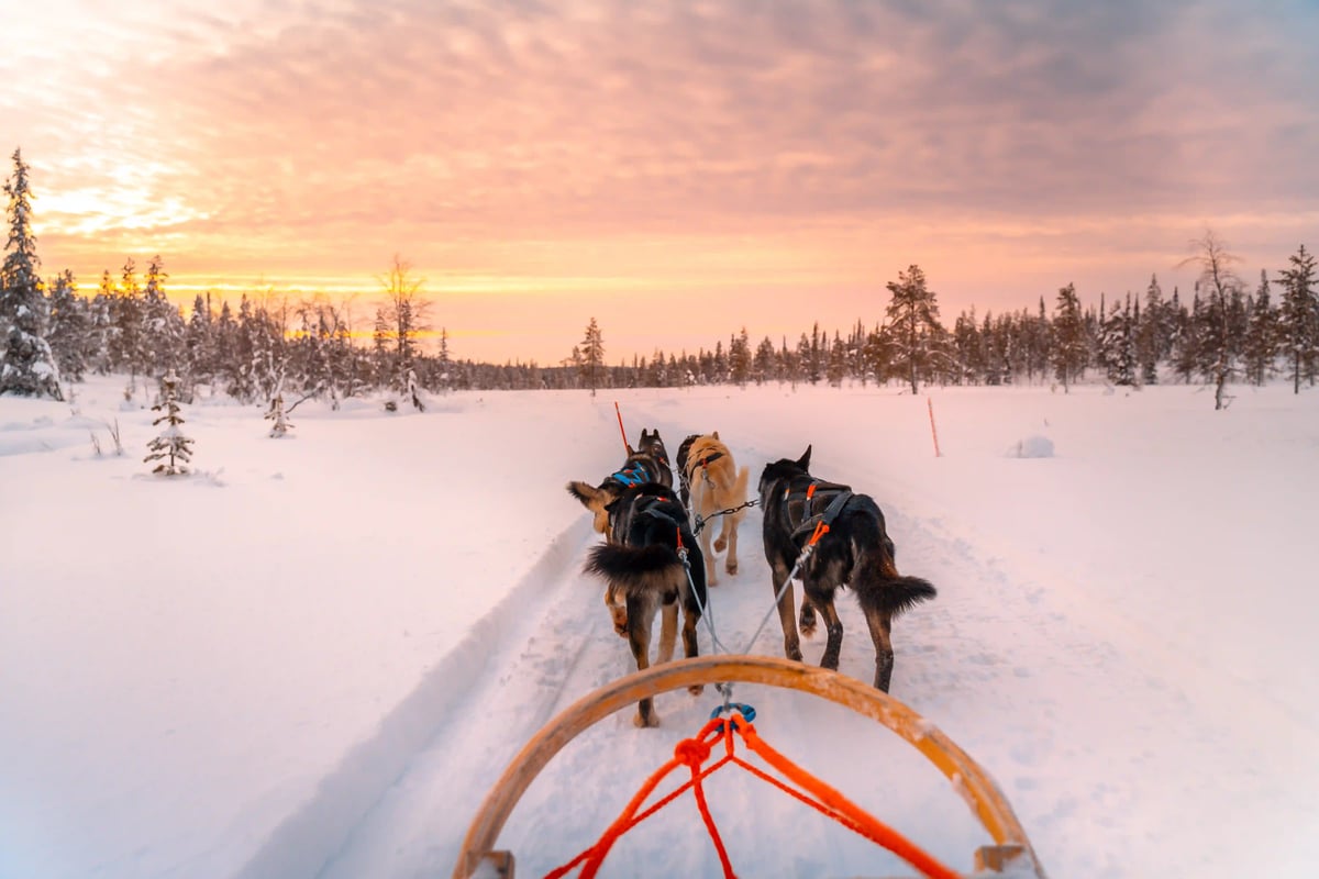 Huskys ziehen einen Schlitten durch verschneite Winterlandschaft bei Sonnenuntergang.