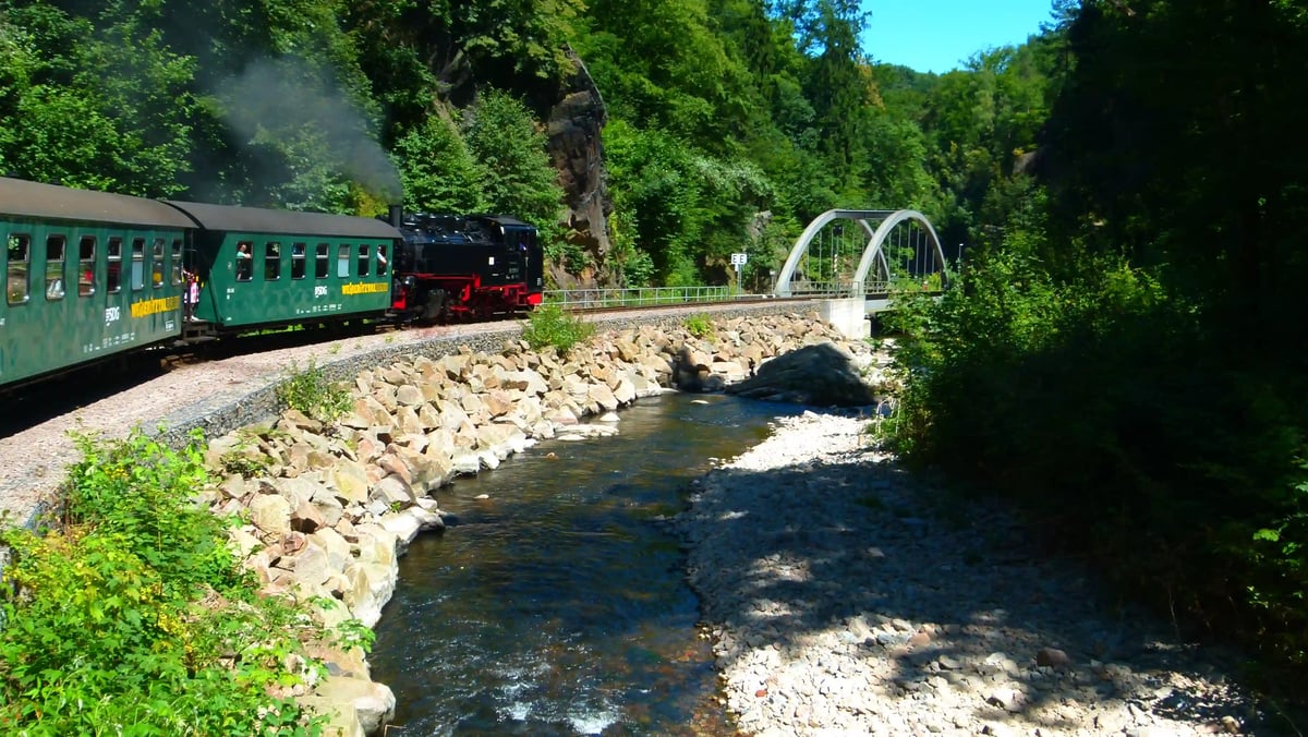 Historische Dampflokomotive fährt durch bewaldetes Tal entlang eines Flusses