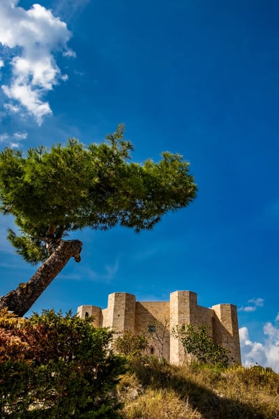 Castel del Monte auf bewaldetem Hügel unter blauem Himmel