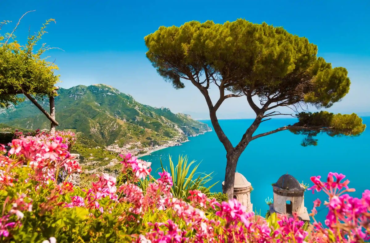 Aussicht über die Amalfiküste mit Pinienbaum, Blüten im Vordergrund und tiefblauem Meer