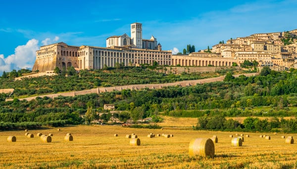 Hügelstadt Assisi mit Basilika San Francesco über grüner Landschaft und goldenen Feldern