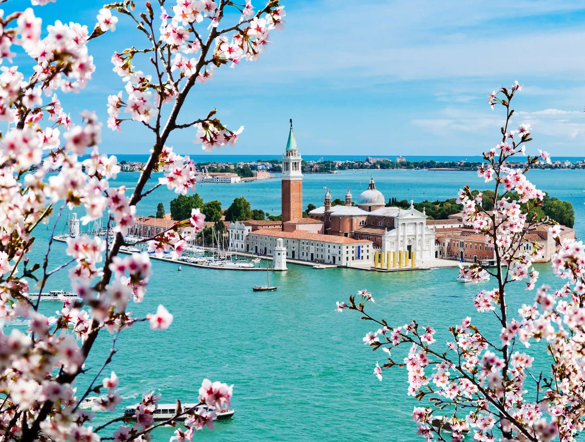 Blick auf die Insel San Giorgio Maggiore in Venedig mit Kirchturm und Lagune, eingerahmt von blühenden Zweigen