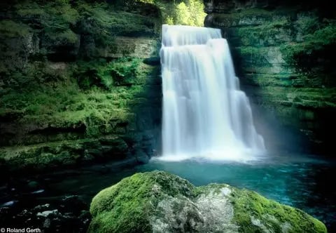 Petite cascade se déversant dans un bassin clair, entourée de rochers et de végétation dense et verte