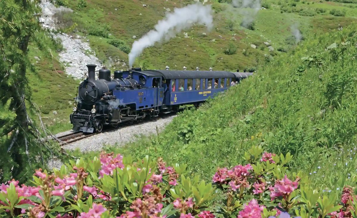 Blaue Dampflokomotive fährt durch grünes Berggebiet, im Vordergrund pinke Alpenblumen und aufsteigender Dampf