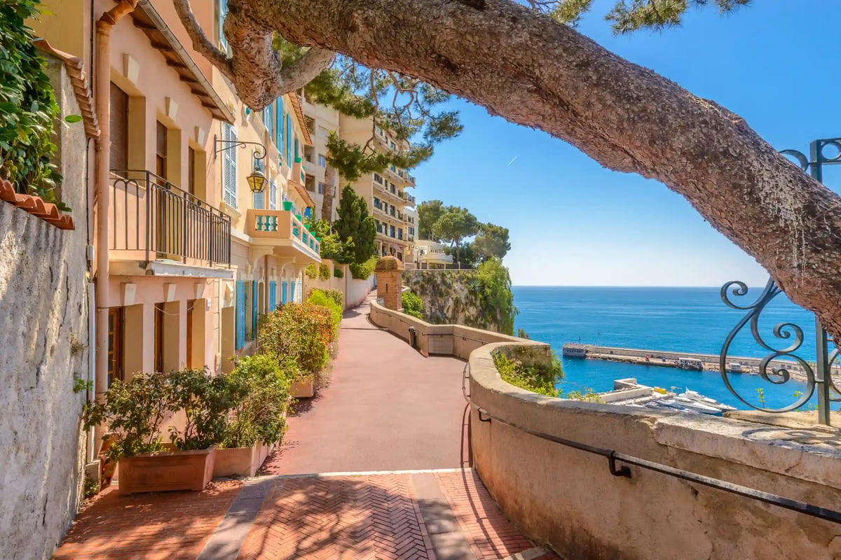 Vue sur Monaco avec le port, le littoral et les immeubles serrés devant un paysage méditerranéen