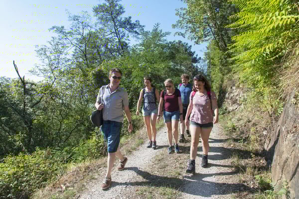 Groupe de randonneurs sur un sentier étroit à travers un paysage vallonné et verdoyant de la Riviera des Fleurs