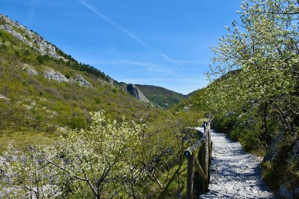 Wanderweg im Rosandra Tal mit Felsen, Bäumen und Geländer