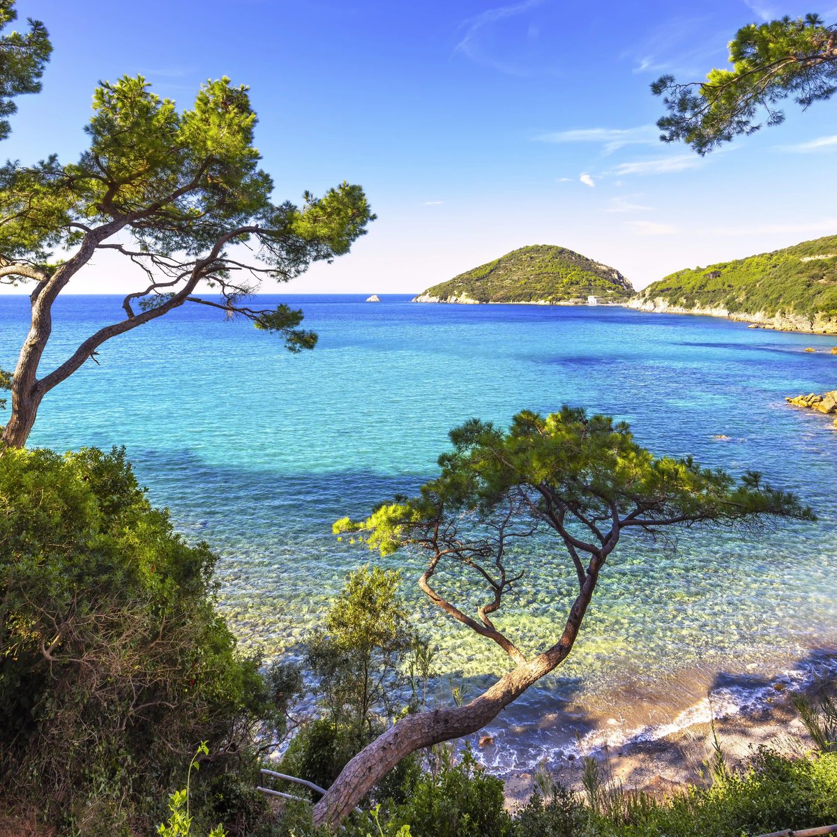 Côte rocheuse près de Viticcio avec mer turquoise et pins
