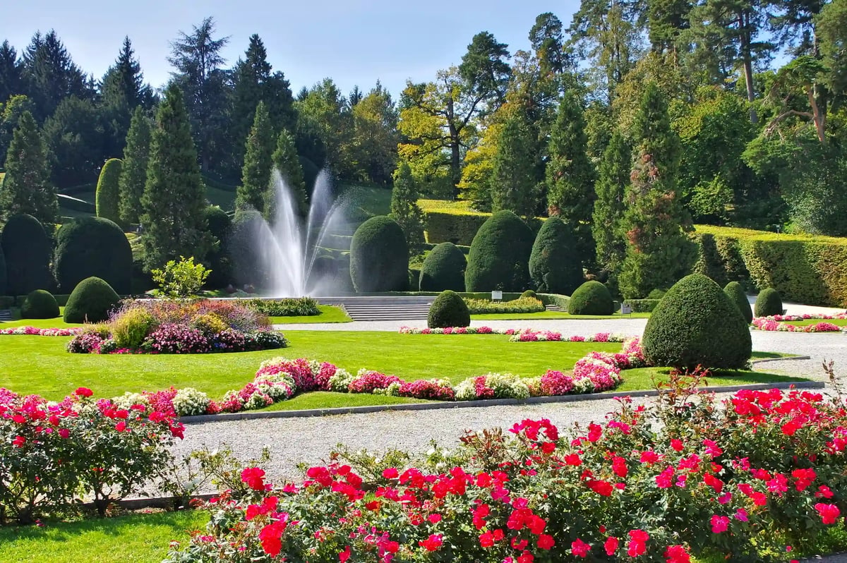 Jardin à la française avec fontaines, haies taillées et parterres fleuris, roses rouges au premier plan.