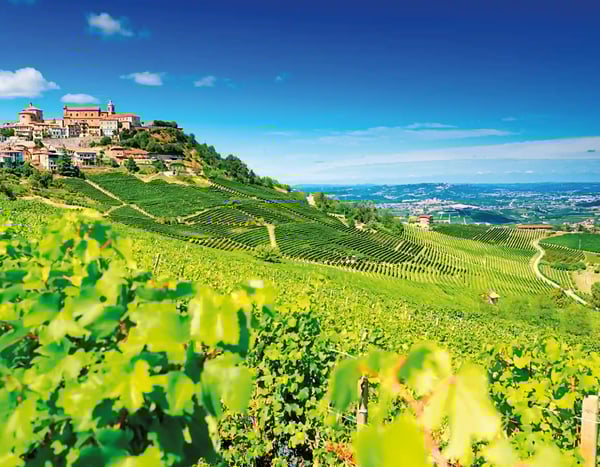 Sanfte Hügel mit Weinbergen im Piemont unter blauem Himmel