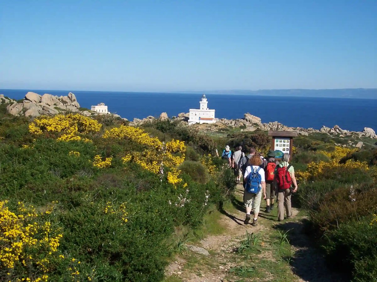 Wandergruppe auf Küstenpfad bei Capo Testa mit Blick auf das Mittelmeer