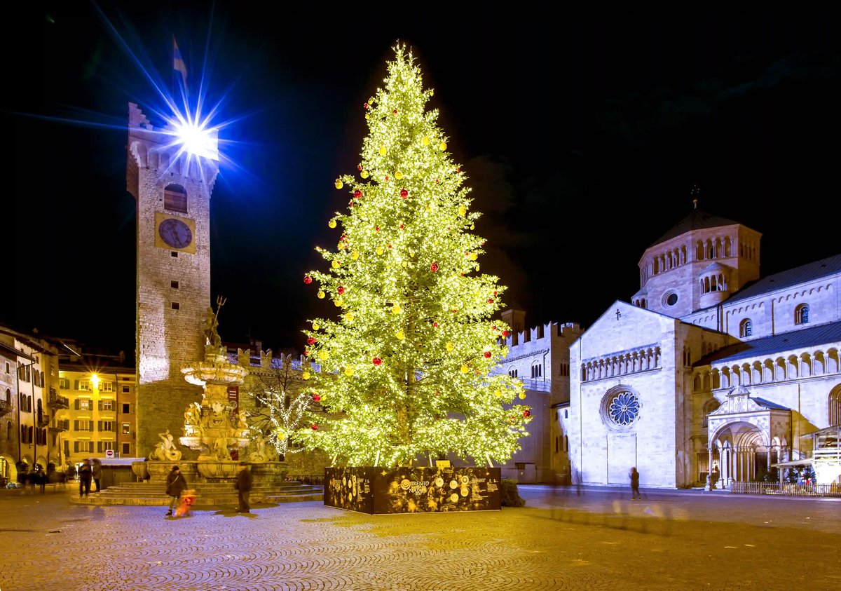 Grosser beleuchteter Weihnachtsbaum auf einem Platz in Trient bei Nacht