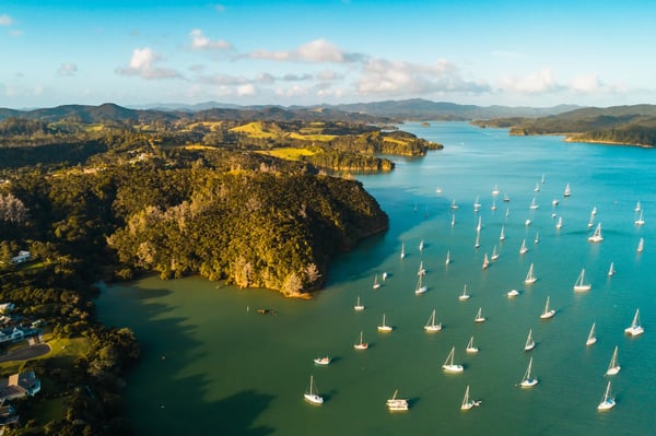 Luftaufnahme der Bay of Islands mit grünen Inseln, Buchten und zahlreichen Segelbooten