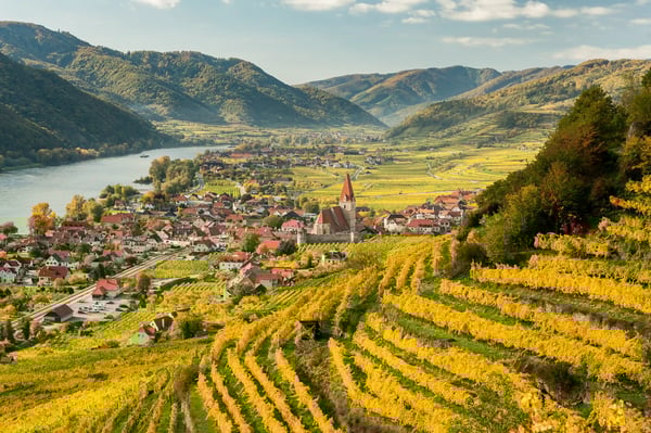 Weinberge der Wachau mit terrassierten Hängen einem Dorf und der Donau in einer weiten Flusslandschaft