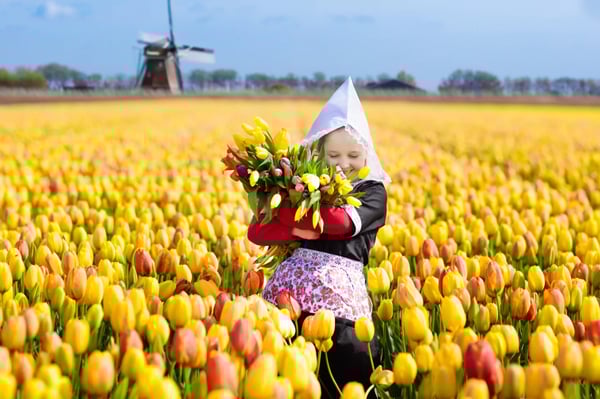 Enfant en tenue traditionnelle tenant un bouquet de tulipes dans un champ de tulipes coloré