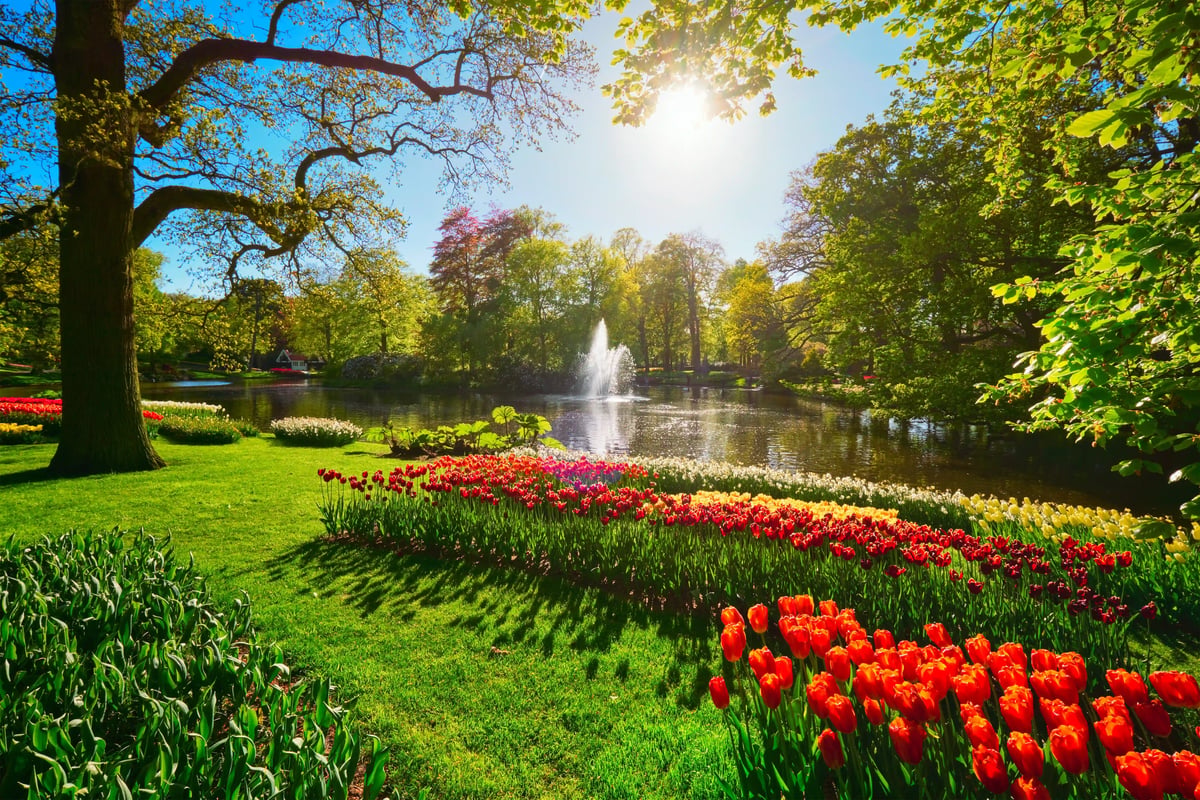 Eine idyllische Parklandschaft im Keukenhof bei strahlendem Sonnenschein, mit einem grossen Teich und einer Springbrunnen-Fontäne im Hintergrund. Im Vordergrund erstrecken sich sauber angelegte, wellenförmige Beete mit roten, gelben und orangefarbenen Tulpen unter schattigen Bäumen.
