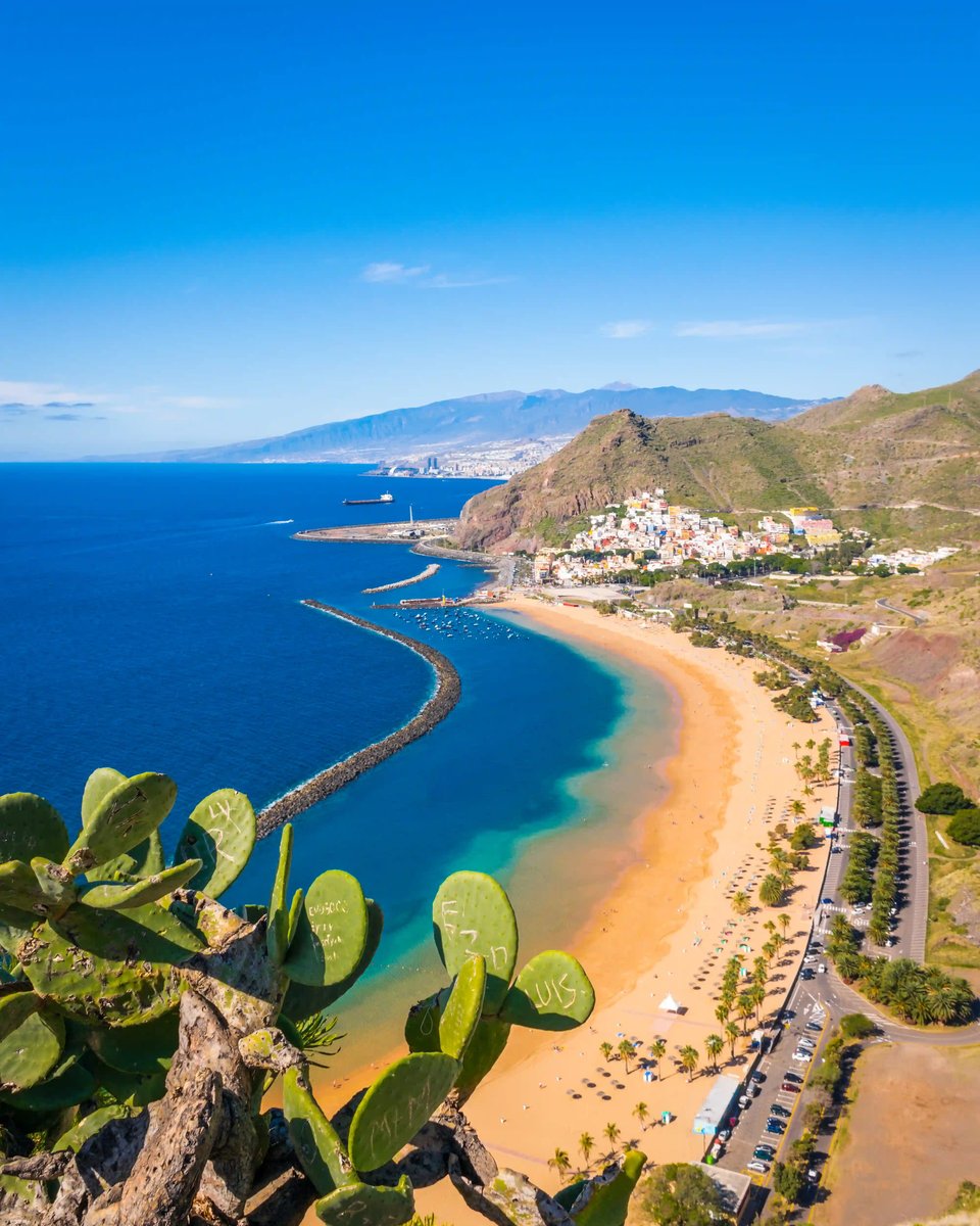 Halbmondförmige Sandbucht mit Palmen, Meer und Stadtbebauung an der Küste von Teneriffa