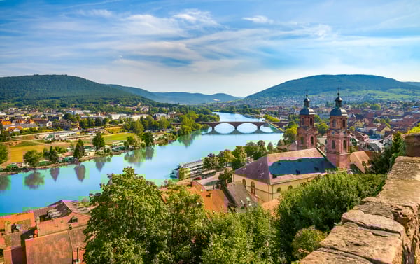 Panoramablick über grüne Weinberge am Rhein; der Fluss zieht sich durch das Tal, gegenüber liegt eine Stadt am Ufer unter klarem Himmel.