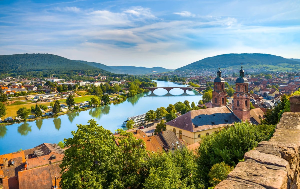Panorama sur des vignobles verdoyants le long du Rhin ; le fleuve serpente dans la vallée et une ville s’étire sur la rive opposée, sous un ciel dégagé.