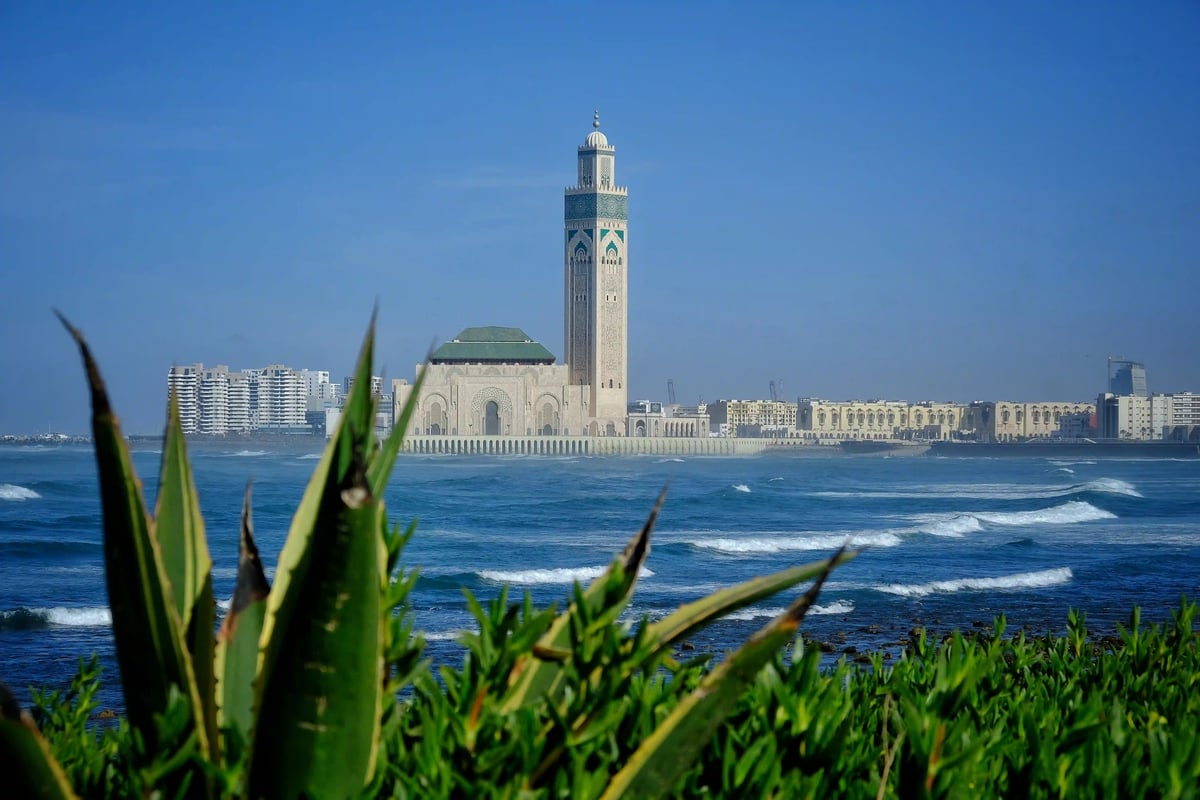 Hassan-II.-Moschee in Casablanca mit hohem Minarett direkt am Atlantik, Blick vom Ufer mit grünen Pflanzen im Vordergrund und klarem blauem Himmel