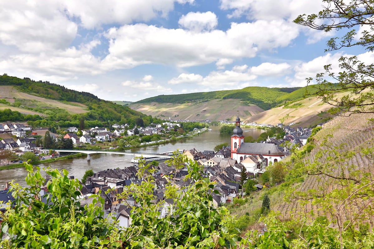 Vue sur Zell an der Mosel avec ses vignobles en terrasses, son église, la rivière Moselle et les collines verdoyantes environnantes