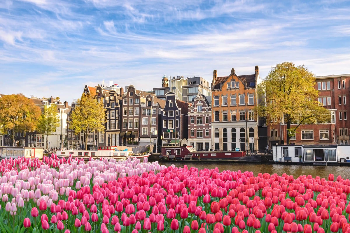 Bunte Tulpen im Vordergrund vor Grachtenhäusern und Hausbooten in Amsterdam bei Sonnenschein.