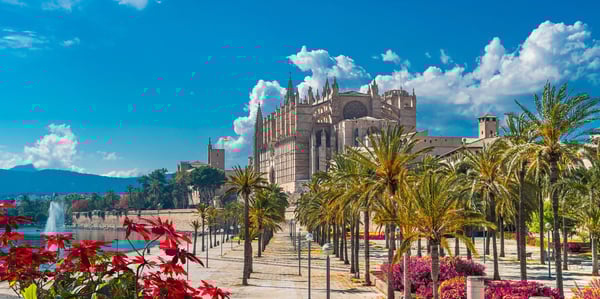 Kathedrale von Palma de Mallorca mit Palmenallee und historischer Stadtmauer bei Sonnenschein