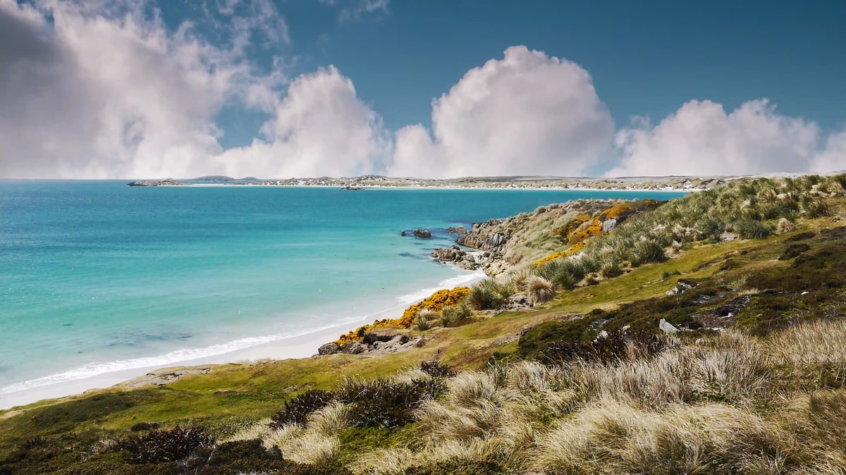 Sanft geschwungene Kueste der Falklandinseln mit türkisfarbenem Meer, Gruenflächen und niedrigen Huegeln unter einem weiten Himmel