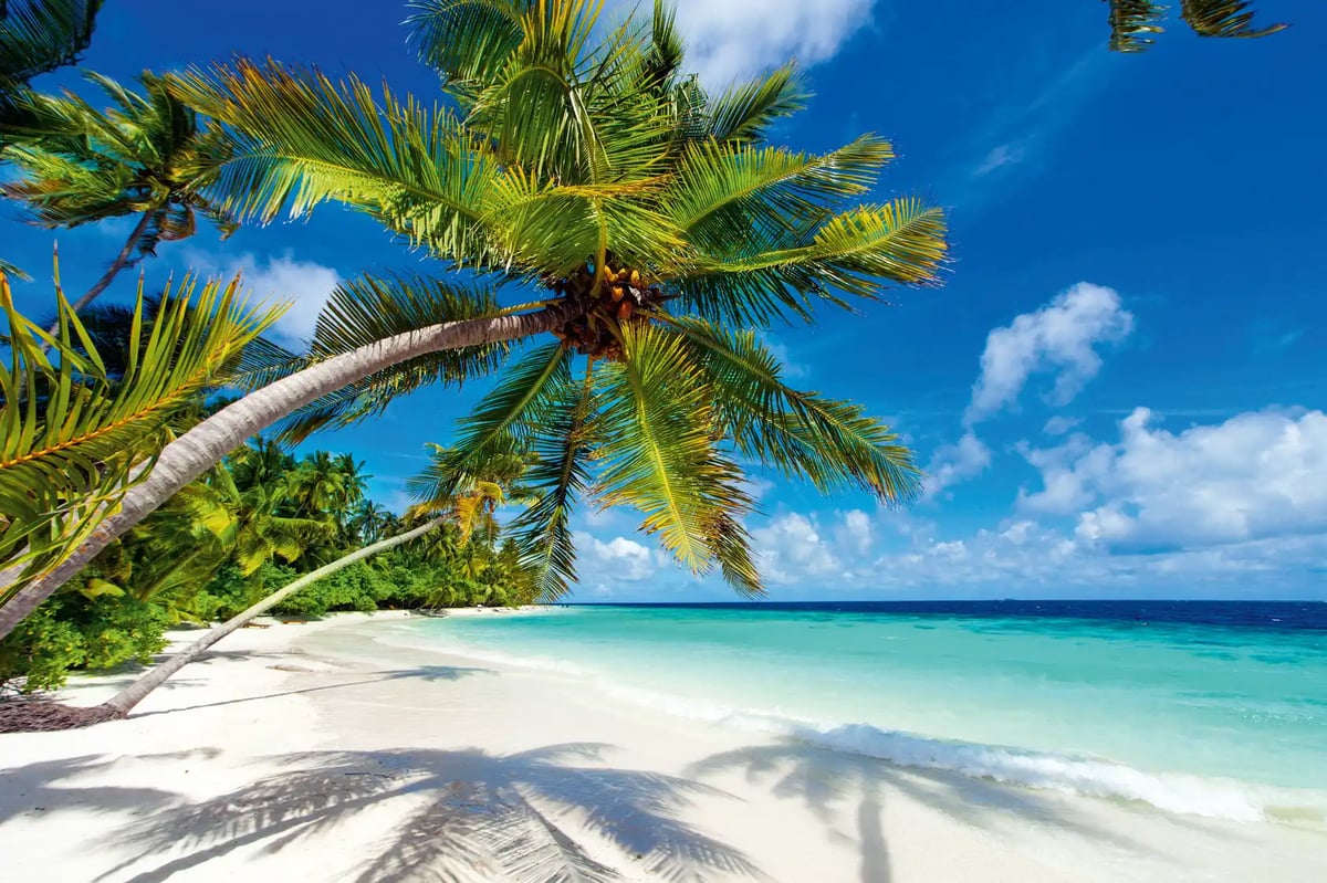 Weisser Sandstrand mit Palmen und klarem Wasser unter blauem Himmel mit Wolken