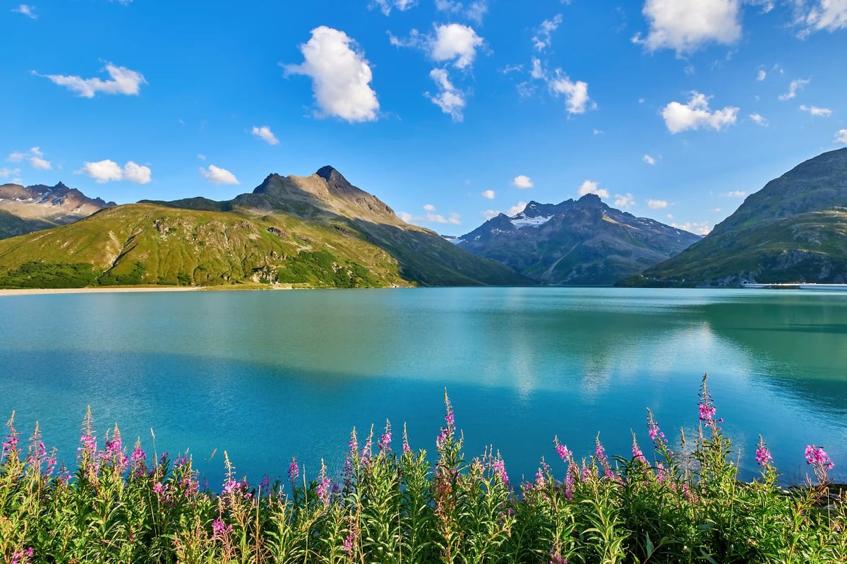 Lac de barrage de Silvretta à la Bielerhöhe, entouré de montagnes et de fleurs alpines