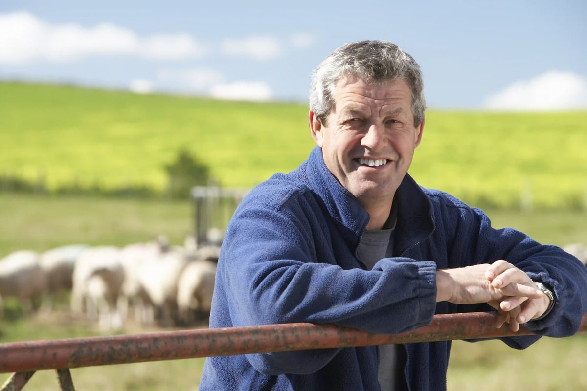 Éleveur souriant appuyé sur une barriere devant un troupeau de moutons dans un paysage rural irlandais