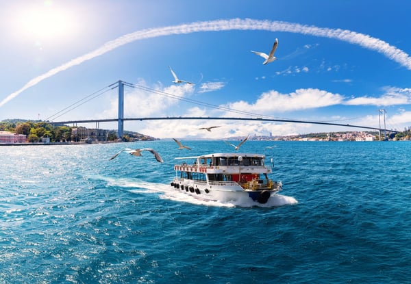 Bateau de passagers naviguant sur le Bosphore, pont suspendu et mouettes en arrière-plan.