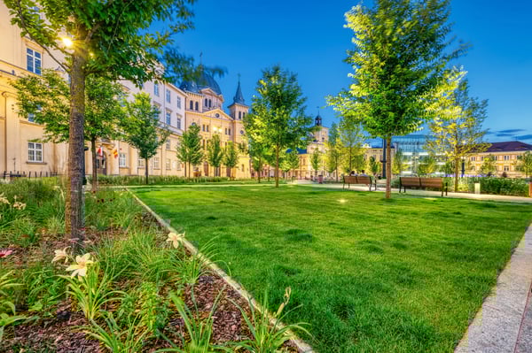 Parc urbain à Łódź avec pelouse, arbres, bancs et bâtiments historiques éclairés au crépuscule.