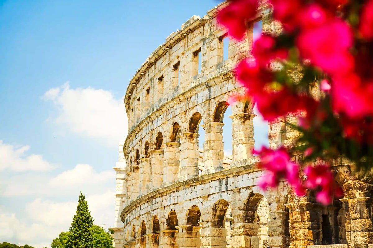 Colisée de Rome avec arches antiques en pierre sous un ciel bleu, fleurs roses au premier plan