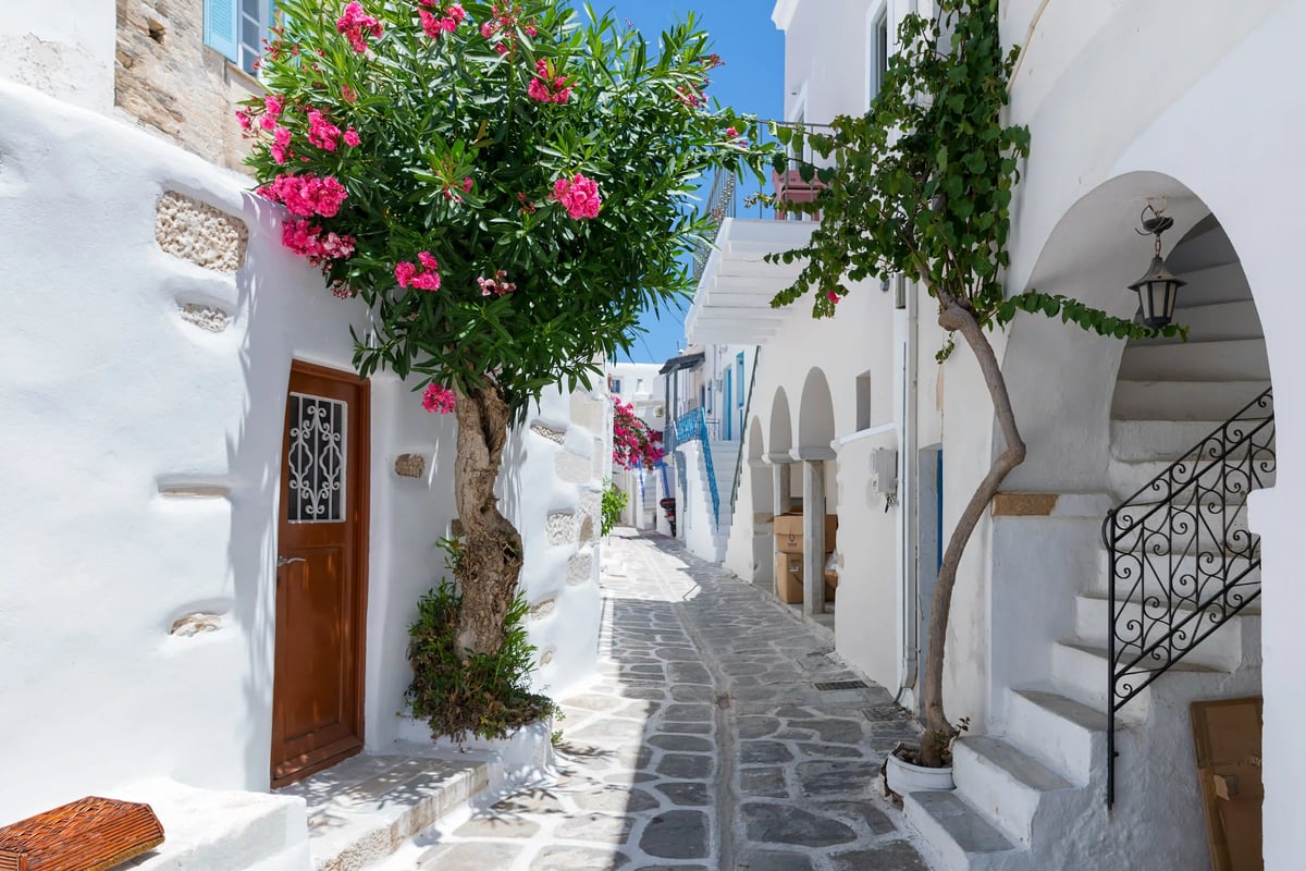 Ruelle étroite de Parikia avec maisons blanches et arbres fleuris.