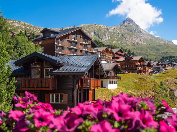 Village alpin avec chalets en bois sur un versant ensoleillé, fleurs roses au premier plan et montagnes escarpées sous un ciel bleu