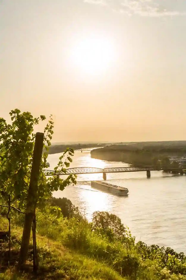 Flusslandschaft mit Weinbergen und Schiff bei Sonnenuntergang