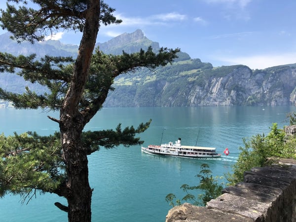Weisses Passagierschiff fährt über türkisfarbenes Wasser des Vierwaldstättersees vor steilen Felswänden