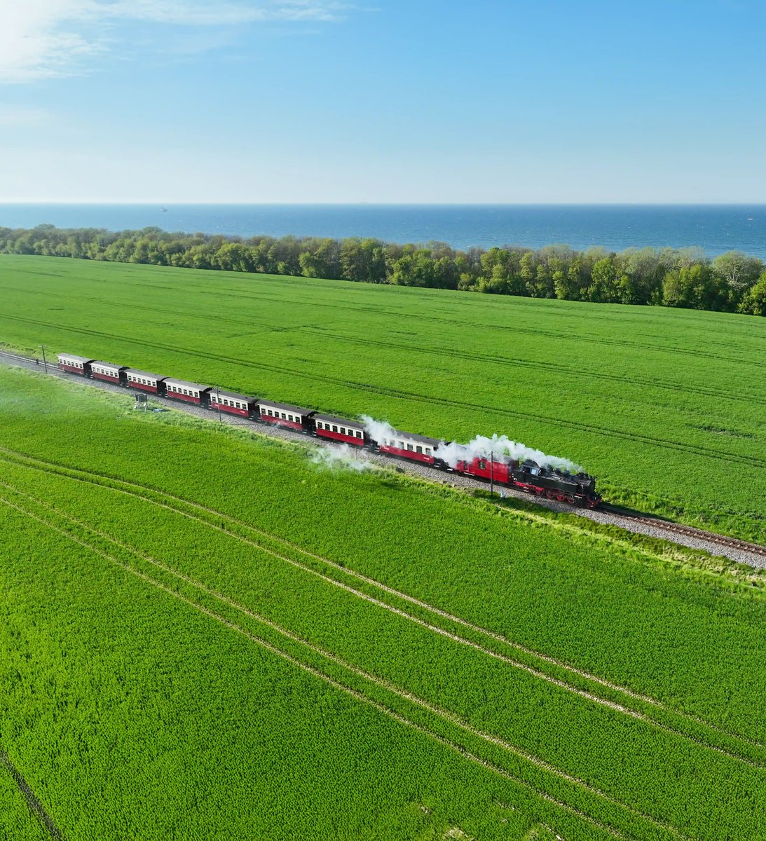Historische Dampfbahn Molli fährt durch grüne Felder nahe der Ostseeküste