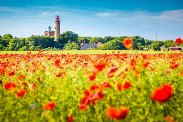 Roter Leuchtturm von Kap Arkona auf Rügen mit Mohnblumenfeld im Vordergrund