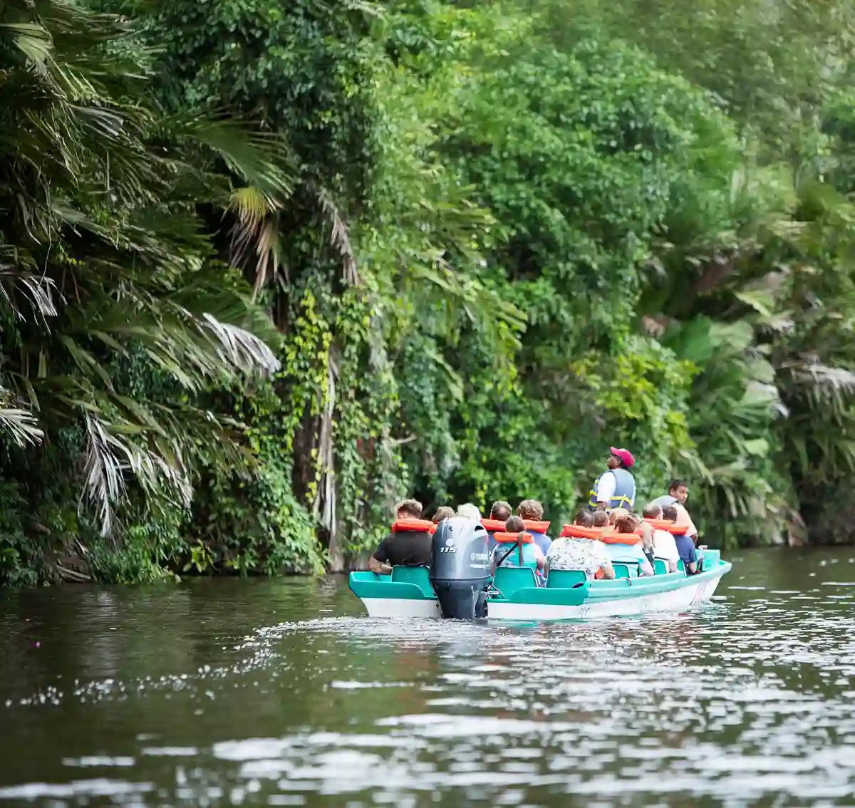 Kleine Reisegruppe fährt mit einem Boot durch einen schmalen Wasserkanal im dichten Regenwald