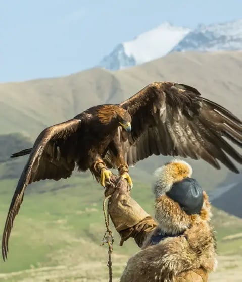 Kirgisischer Adlerjäger mit Steinadler vor einer beeindruckenden Berglandschaft.